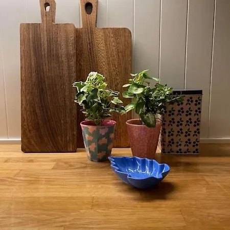 Apartament Agaton Andenes
